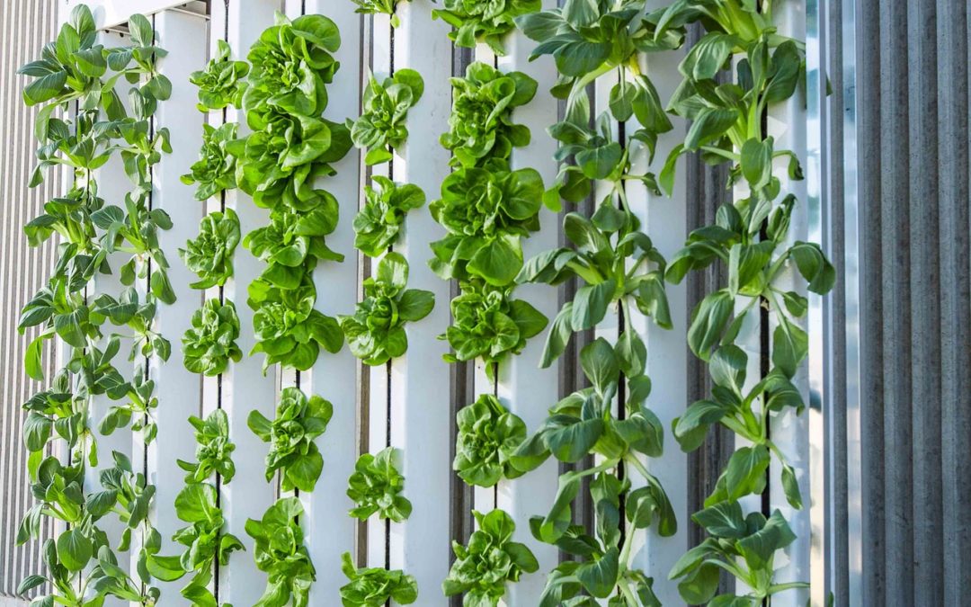 Gonvarri Material Handling joins global vertical farming campaign